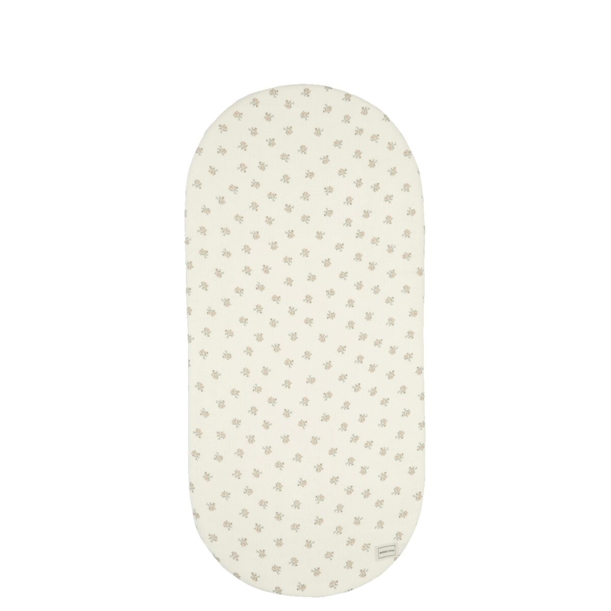 BAJERA CAPAZO